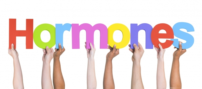 Cinnamon – Benefits PCOS, Endometriosis, Uterine Fibroids and Menorrhagia