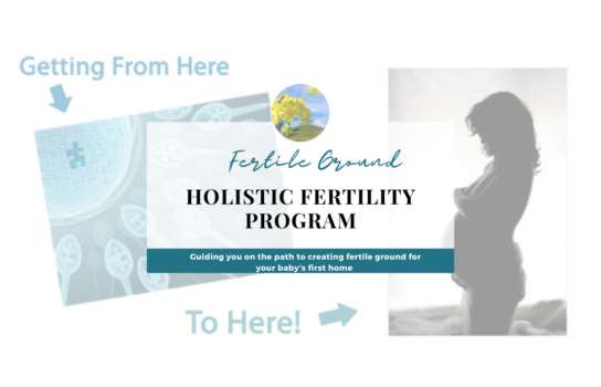 Holistic Fertility Services