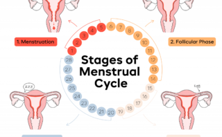 The Link Between Hormone Health and Plastics