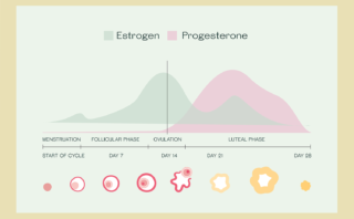 3 Essential Ingredients for a “Good” Birth